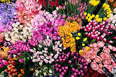 欧美服《电锯甜心RePOP》8月8日开启预购 首发9折优惠