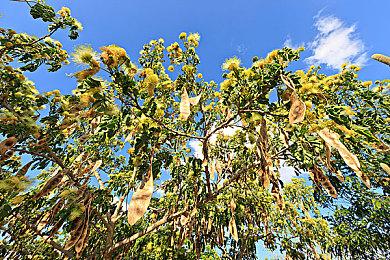 AMD发布最强掌上游戏PC芯片组：Zen 2 Extreme